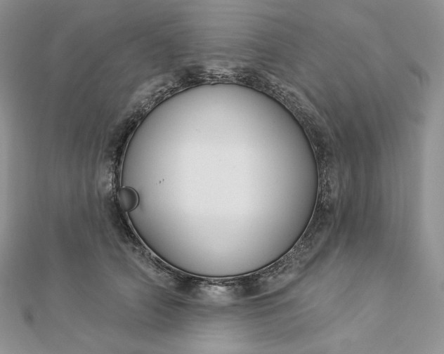 X0000112890706200909041702