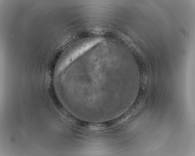 X0000112890707200909041702