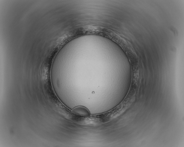 X0000112890708200909041702