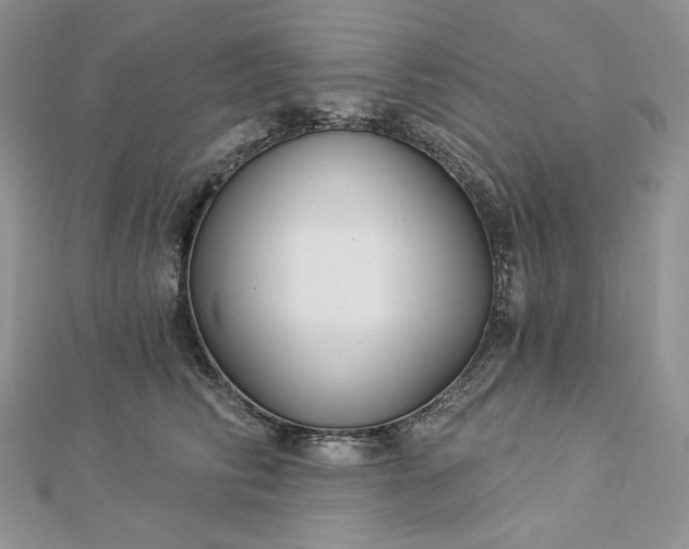 X0000112890710200909041702