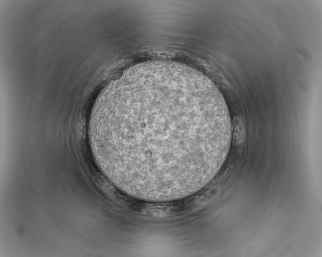 X0000112890713200909041702