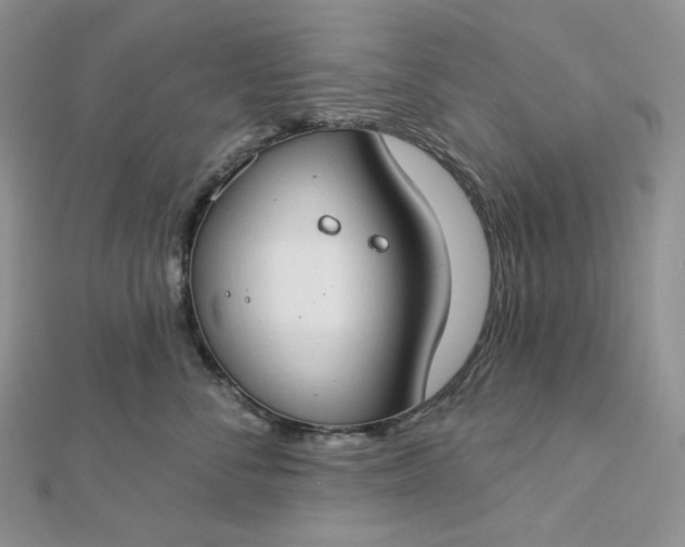 X0000112890716200909041702