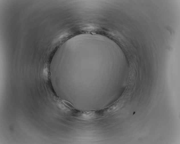 X0000112890720200909041702