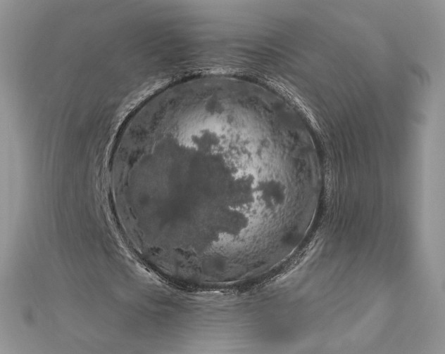 X0000112890721200909041701
