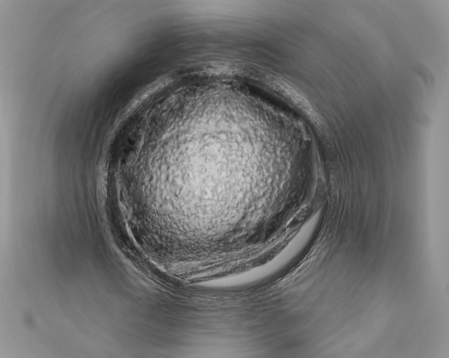 X0000112890722200909041701