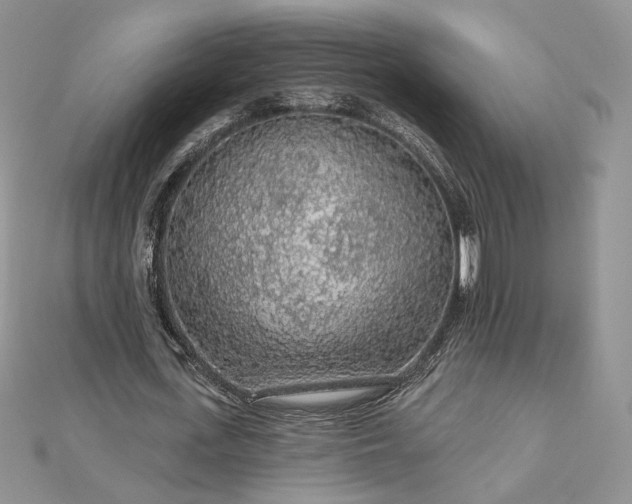 X0000112890723200909041701