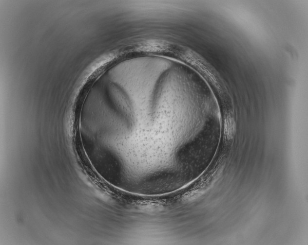 X0000112890724200909041701