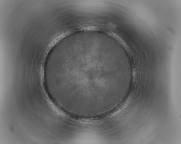 X0000112890725200909041701