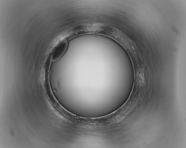 X0000112890726200909041701