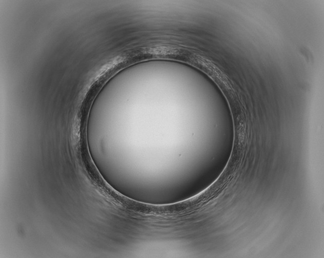 X0000112890727200909041701