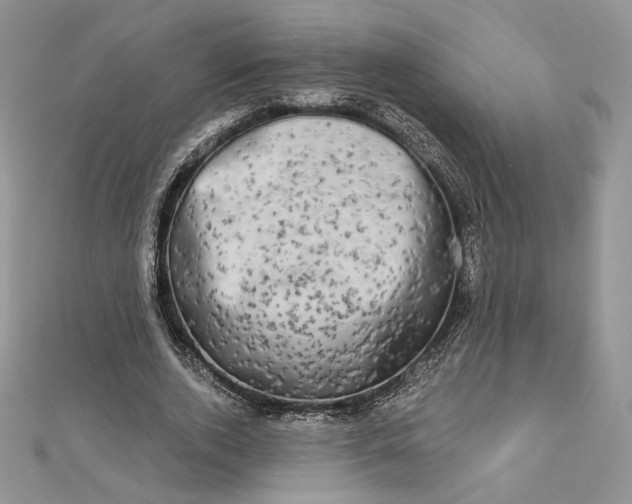 X0000112890728200909041701