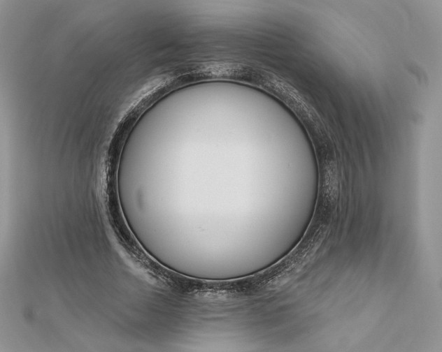 X0000112890730200909041701