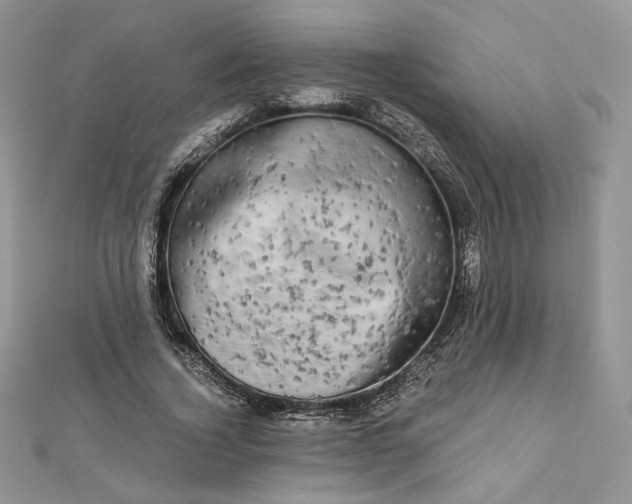 X0000112890732200909041701