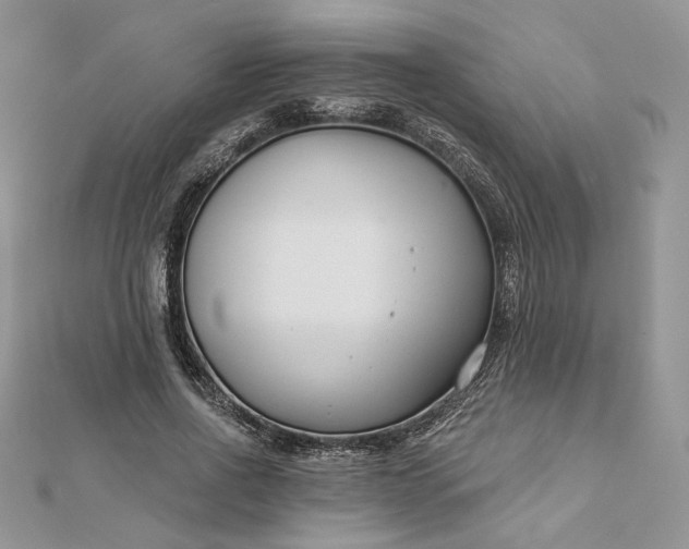 X0000112890734200909041701