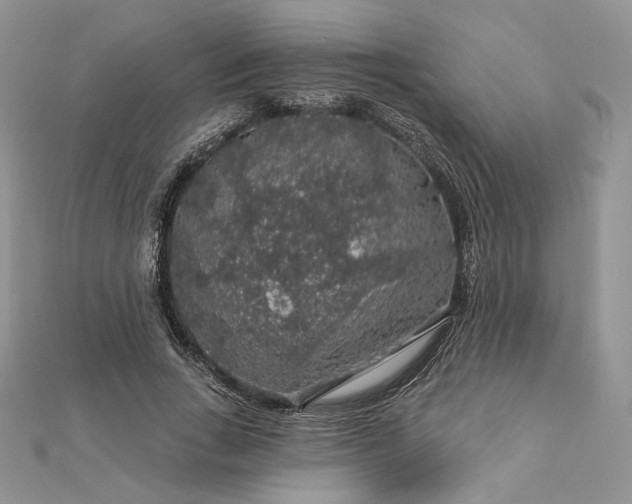 X0000112890735200909041701