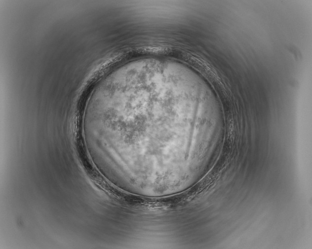 X0000112890736200909041701