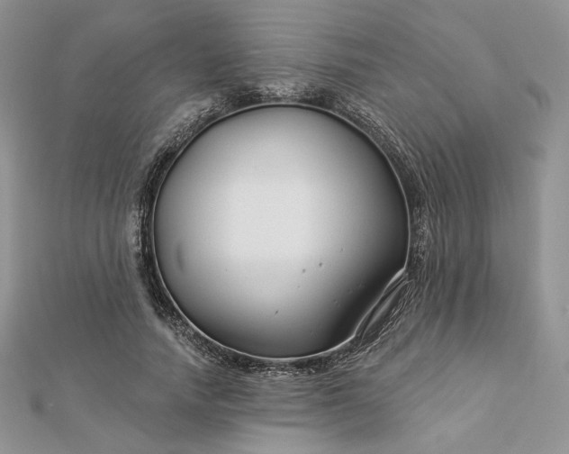 X0000112890738200909041701