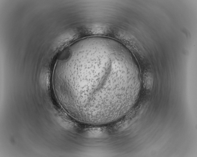X0000112890740200909041701