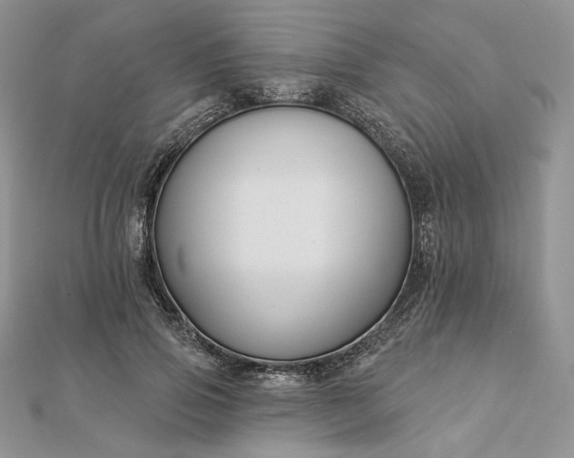 X0000112890741200909041701