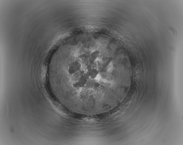 X0000112890742200909041701