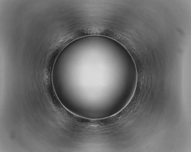 X0000112890743200909041701
