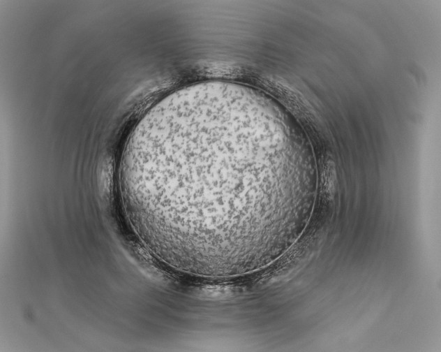 X0000112890744200909041701