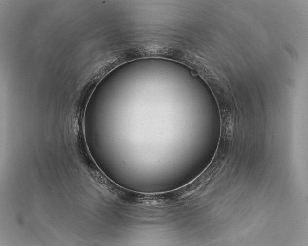 X0000112890746200909041701