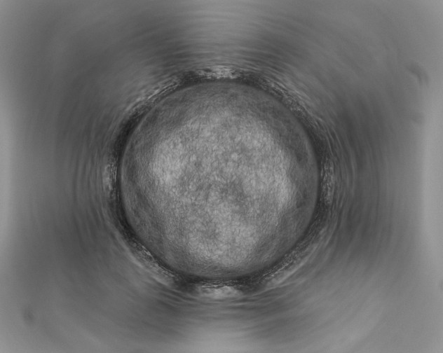 X0000112890747200909041701