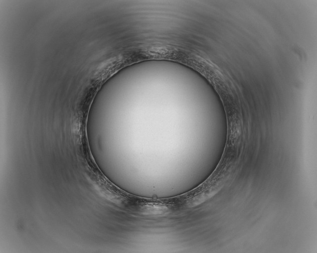 X0000112890749200909041701