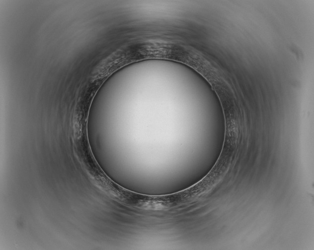 X0000112890751200909041701