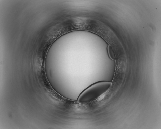 X0000112890752200909041701