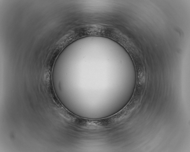 X0000112890753200909041701