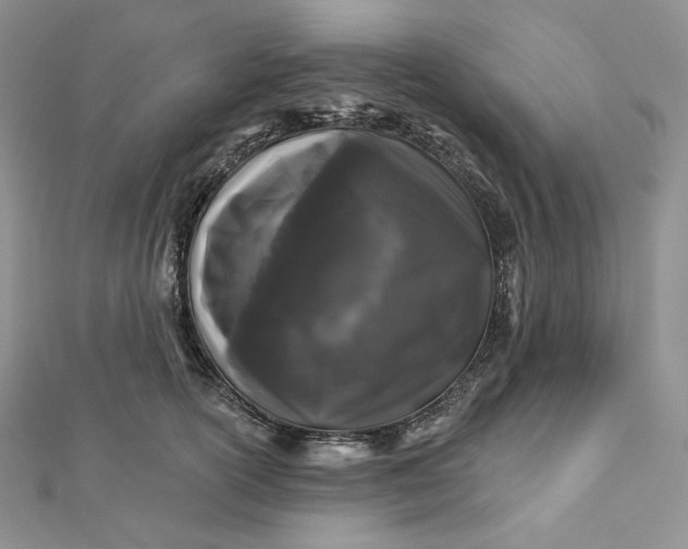 X0000112890754200909041701