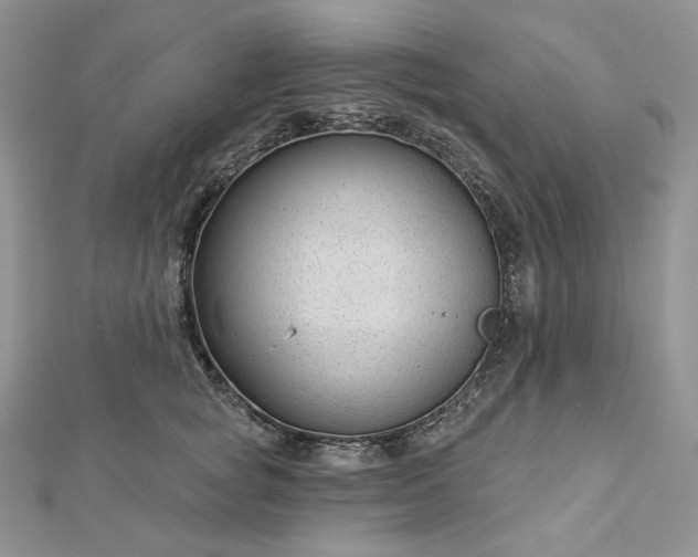 X0000112890757200909041701