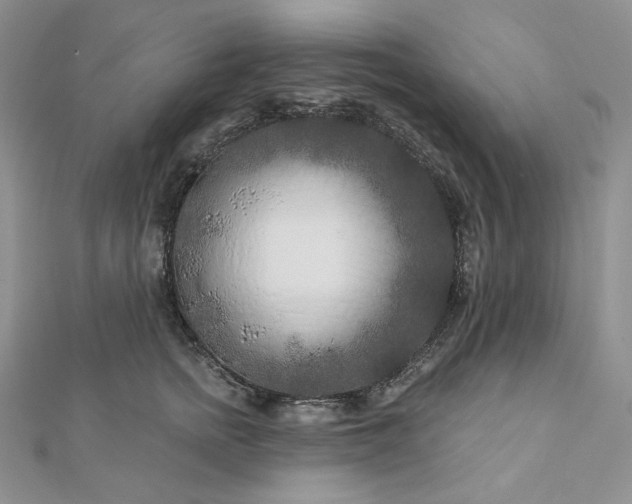 X0000112890758200909041701