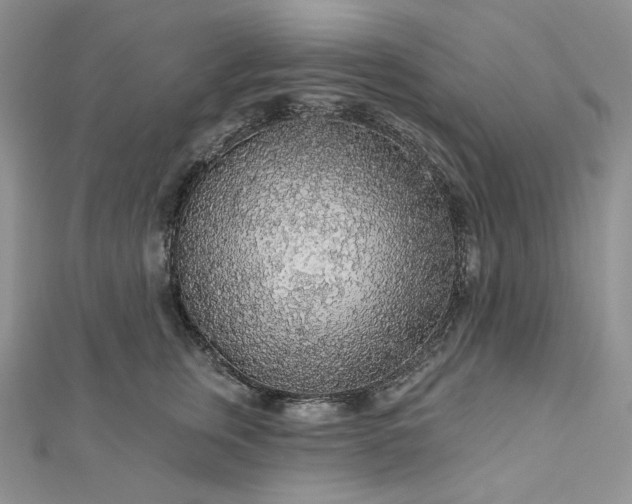 X0000112890759200909041701