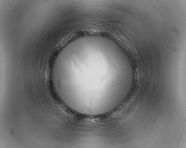 X0000112890760200909041701