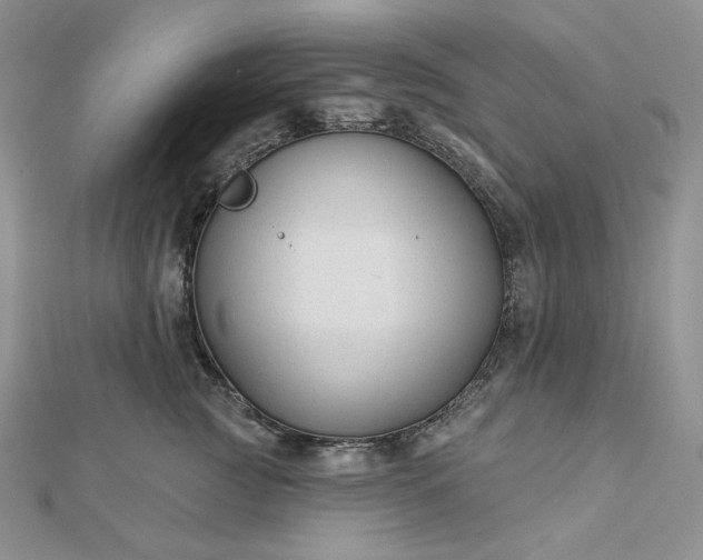 X0000112890761200909041701