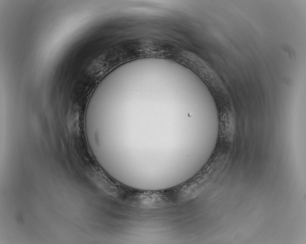 X0000112890762200909041701