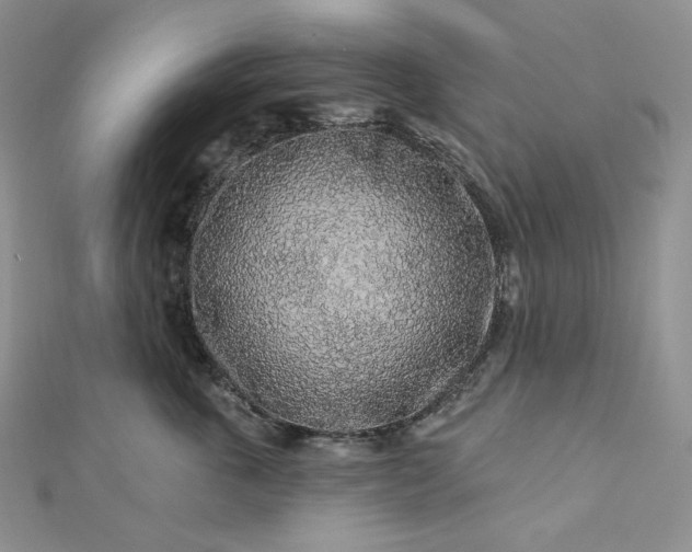 X0000112890763200909041701