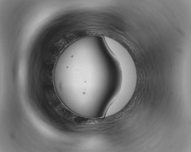X0000112890764200909041702