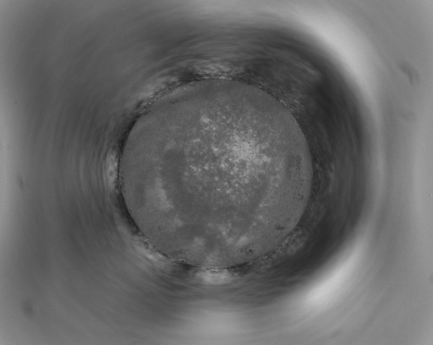 X0000112890767200909041702