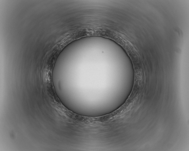 X0000112890770200909041701