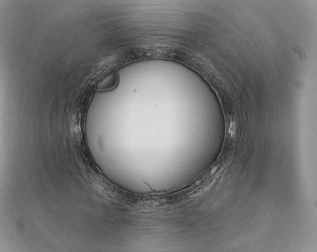 X0000112890771200909041701