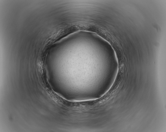 X0000112890772200909041701