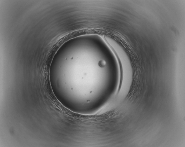 X0000112890773200909041701