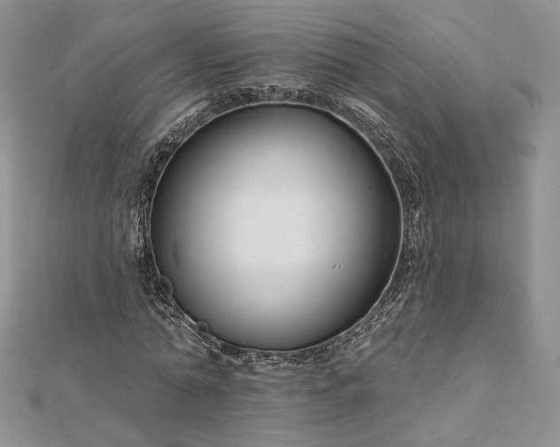 X0000112890774200909041701