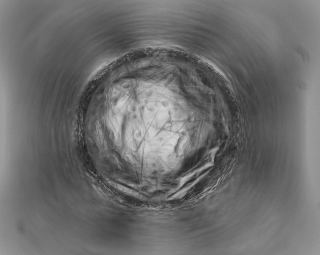 X0000112890775200909041701