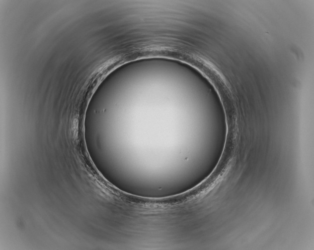 X0000112890777200909041701