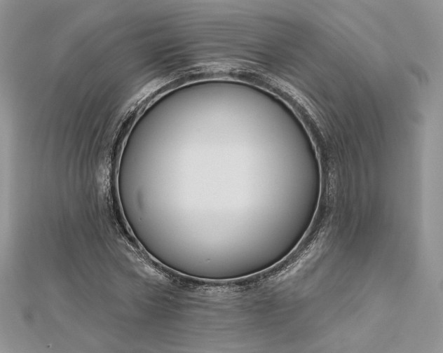 X0000112890778200909041701